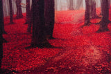The Crimson Wilderness