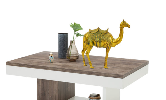Solid Bronze Arabian Camel