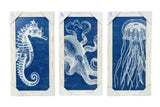 Marine Life Wall Décor - Octopus (Sold as Each)